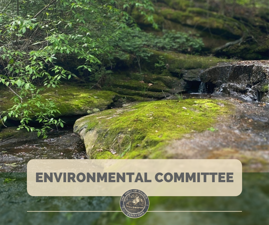 environmental committee