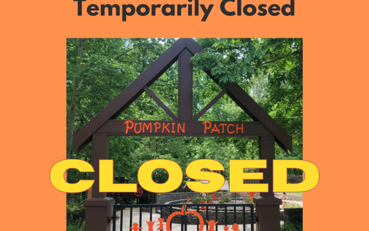 Playground Closure Notice 
